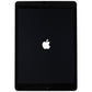 Apple iPad (10.2-inch, 9th Gen) (A2602) Wi-Fi - 256GB / Space Gray / ENGRAVED iPads, Tablets & eBook Readers Apple    - Simple Cell Bulk Wholesale Pricing - USA Seller
