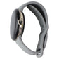 Google Pixel Watch 2 (Wi-Fi + LTE) - Gold Casing / Hazel Band (GD2WG) Smart Watches Google - Simple Cell Bulk Wholesale Pricing - USA Seller