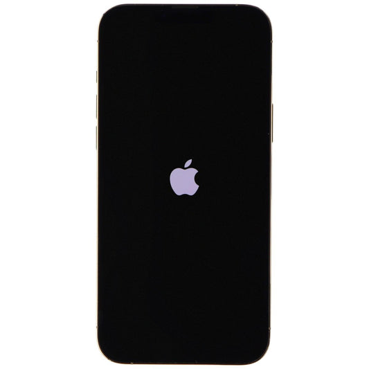 Apple iPhone 13 Pro Max (6.7-inch) Smartphone (A2484) Unlocked - 256GB / Gold