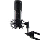 Professional Plug & Play PC Computer Podcast Condenser Microphone - Black Computer Accessories - Microphones Unbranded    - Simple Cell Bulk Wholesale Pricing - USA Seller