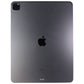 Apple iPad Pro (12.9-in) 5th Gen Tablet (A2378) Wi-Fi Only - 256GB / Space Gray