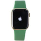 Apple Watch Series 6 (GPS + LTE) A2293 40mm Gold Stainless Steel/Green Sp Band Smart Watches Apple - Simple Cell Bulk Wholesale Pricing - USA Seller