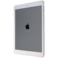 Apple iPad Pro (9.7-inch) 1st Gen Tablet (A1673) Wi-Fi Only - 256GB / Silver