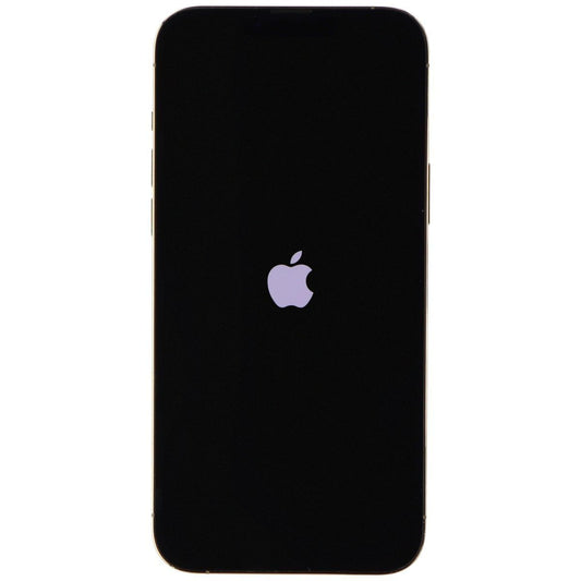 Apple iPhone 13 Pro Max (6.7-in) Smartphone (A2484) Unlocked - 1TB / Gold