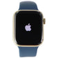Apple Watch Series 7 (GPS + LTE) A2477 (45mm) Stainless Gold/Blue Sp Band Smart Watches Apple - Simple Cell Bulk Wholesale Pricing - USA Seller