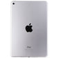 Apple iPad 9.7 Inch 128GB Tablet (A1822) - Wi-Fi ONLY - Silver iPads, Tablets & eBook Readers Apple    - Simple Cell Bulk Wholesale Pricing - USA Seller