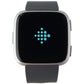 Fitbit Versa (1st Gen) Smart Watch - Silver Aluminum/Gray Band (FB505) Smart Watches Fitbit - Simple Cell Bulk Wholesale Pricing - USA Seller