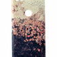 Google Earth Live Series Hardshell Case Cover Google Pixel - Ceel Dheer Desert Cell Phone - Cases, Covers & Skins Google    - Simple Cell Bulk Wholesale Pricing - USA Seller
